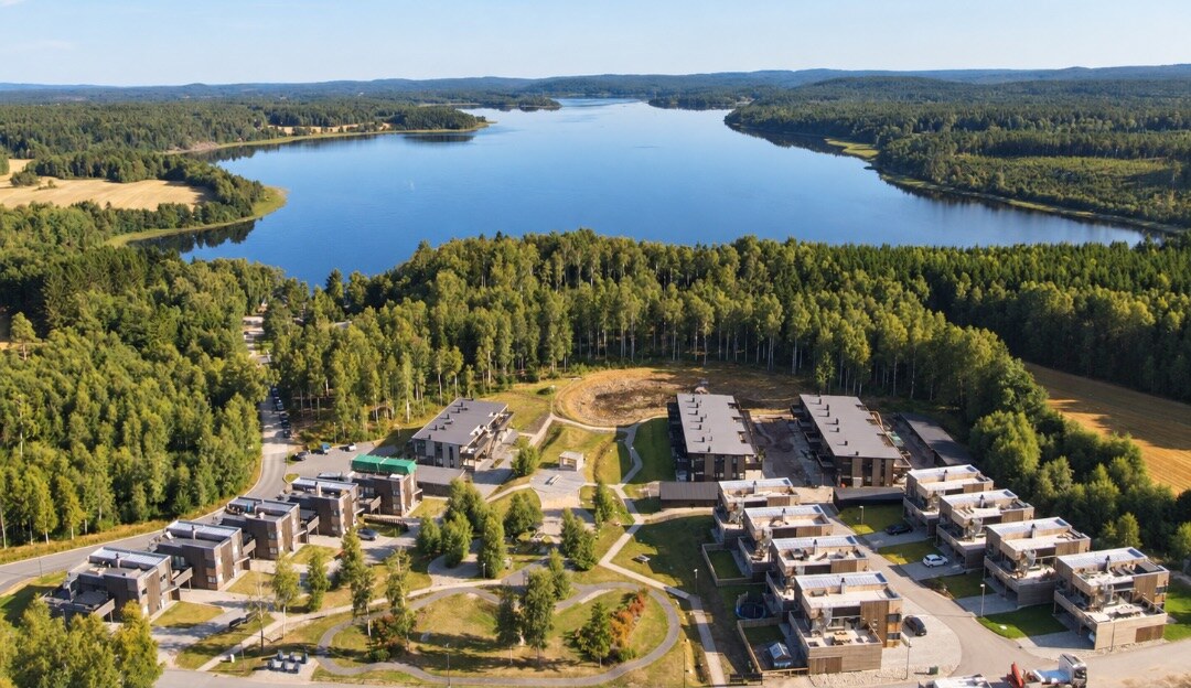 Bodalstranda ved Isesjø. Foto fra prosjektet.
